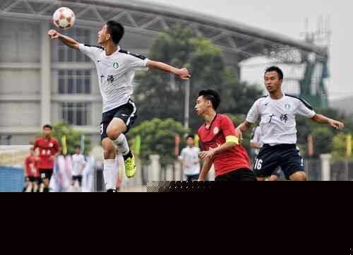 法马利康主席谈争议点球判罚：我们在本菲卡遭遇飓风灾害袭击（法马利康主席批评争议点球：客场对本菲卡宛如遭飓风袭击）